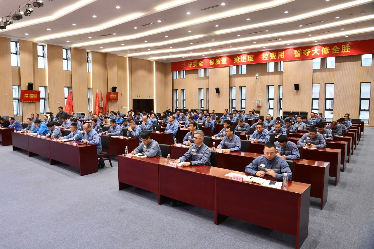 69afcf2947099.jpg