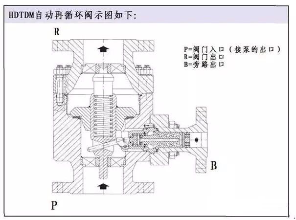 69ef2b852528e.jpg